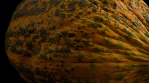 Footage of Melon Rotating Stock Footage 284282193