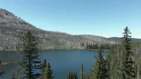 Footage of a Mountain Lake going through the Trees 库存影片 201446015