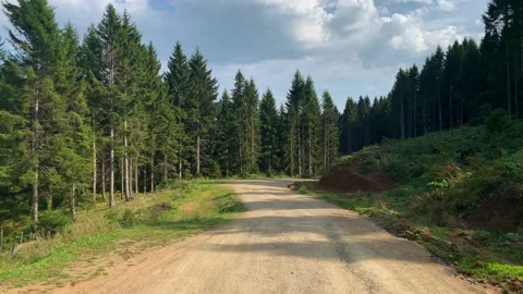 Footage of mountain path and pine forest trees captured near mountain village Stock Footage 139414849