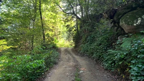 Footage of mountain path and trees captured in "Kulin" mountain of Macka Stock Footage 139237960