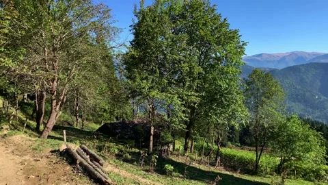 Footage of mountains, pine forest trees captured at a high mountain of Macka Stock Footage 139409752