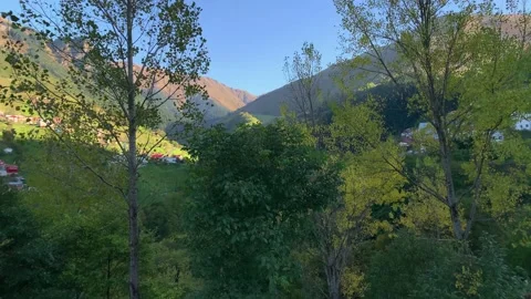 Footage of mountains, pine forest trees and mountain village (high plateau) Stock Footage 139410103