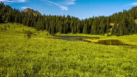 Footage of Naches Peak Loop Trail and Tipsoo Lake in Mount Rainier National Park Stock Footage 332141431