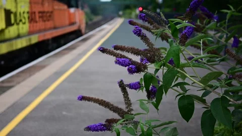 Footage of a Network Rail passenger commuter train Stock Footage 291413201