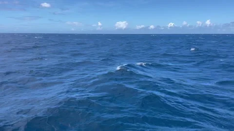 Footage of Ocean Waves and White Caps Stock Footage 311888516