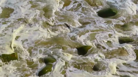 Footage of ocean waves ebbing and flowing at a rocky beach Vídeo Stock 251283071