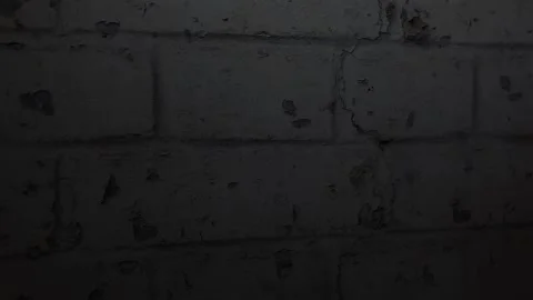 Footage of old brick wall background Stock Footage 234502756