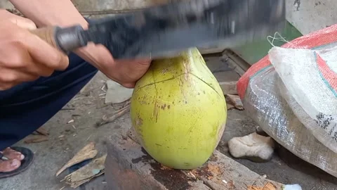 Footage of opening coconuts with sharp weapons Stock-Footage 163702986
