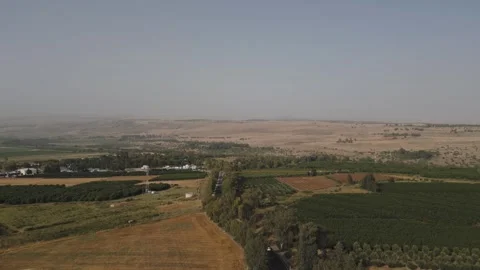 Footage Over Fields and a Road Vanishing in Greenery Video stock 244630378