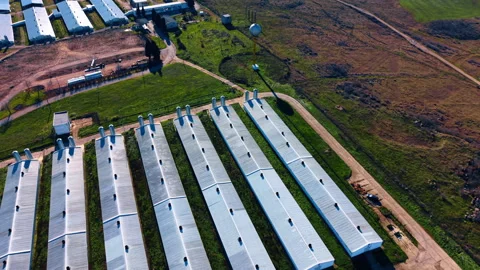 Footage over the long rectangular agricultural buildings. Farm barns or 스톡 동영상 332131928