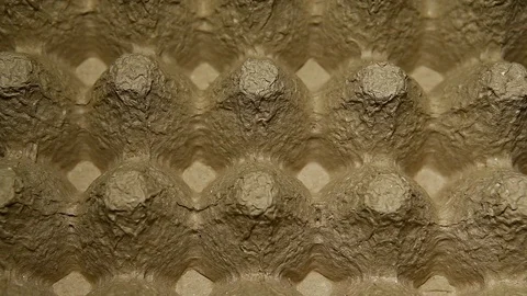 Footage of paper egg box Stock Footage 129820663