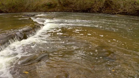 Footage from the perspective of a leaf flowing downstream in the fall. Stock Footage 119188375