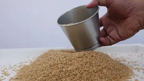 Footage of picking up brown rice with the help of steel glass Video stock 147689247