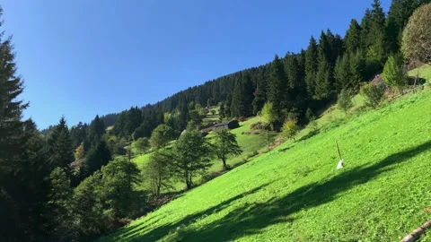 Footage of pine forest trees, grass field and houses at a high mountain of Macka Stock Footage 136188604