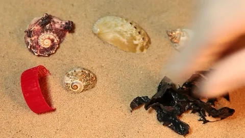 Footage of plastic garbage hand gloves seashell sand background Stock Footage 201362414