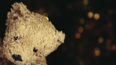 Footage of plush bear dark background Stock Footage 241902059