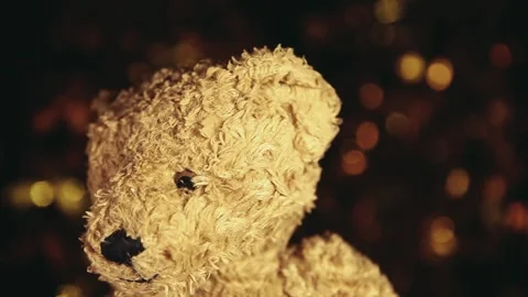 Footage of plush bear dark background Stock Footage 241902069