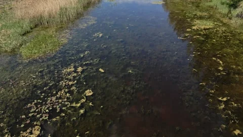 Footage of a pond in spring Stock Footage 253097781