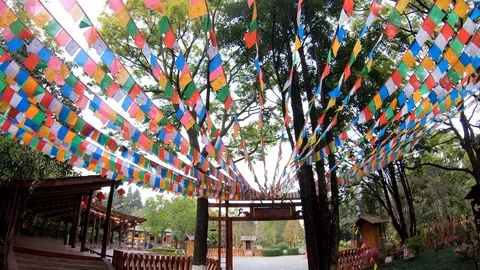 Footage of prayer flags attached to the tree in waving Video stock 104884393