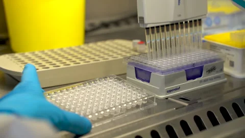 A footage of process of multiple testing patients on coronavirus ( covid19 ) Stock Footage 158517424