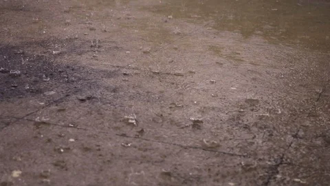 Footage of rain falling on pavement Stock Footage 99965031