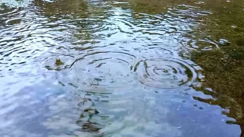 Footage Rain Video stock 221807817