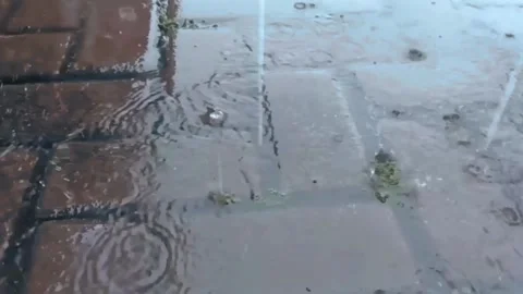Footage The Rain Stock Footage 231424766
