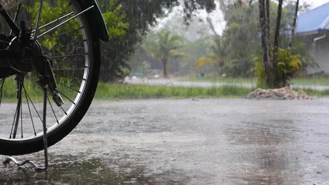 Footage Rain, storm, strong wind blowing in Phuket, Thailand 스톡 동영상 110736786