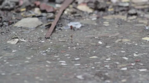 A footage of raindrops Stock Footage 241982492