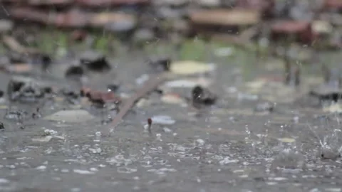 A footage of raindrops Stock Footage 241982675