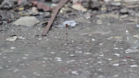 A footage of raindrops Stock Footage 241982928