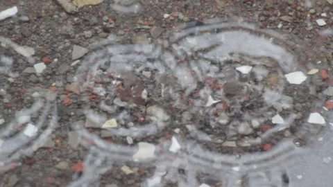 A footage of raindrops Stock Footage 241986998