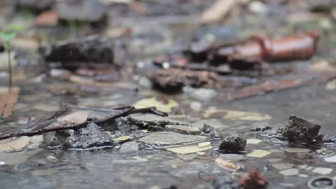 A footage of raindrops Stock Footage 241987087