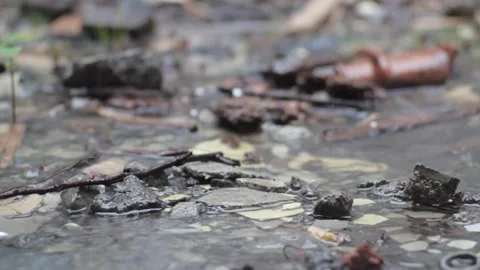 A footage of raindrops Stock Footage 241987325