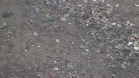 A footage of raindrops Stock Footage 241987474