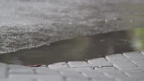 A footage of raindrops Stock Footage 241987478