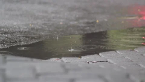 A footage of raindrops Stock Footage 241987590