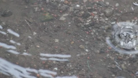 A footage of raindrops Stock Footage 241987662