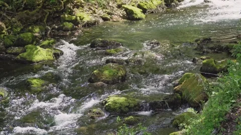 Footage of a rapid stream over rocks coming from waterfall in forest Stock Footage 270501398