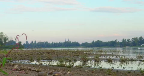 Footage of river Danube and empty broken shells on a sandy coast under blue sky Stock Footage 258960019
