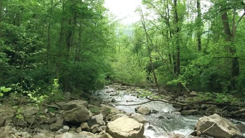 Footage of a river flowing through a forested landscape Stock-Footage 276694500