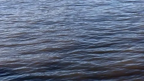 Footage of the River Thames Stock Footage 74377104