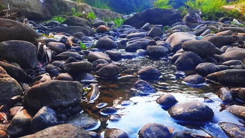 Footage of river water flow. suitable for content, adventure films, etc Stock-Footage 283516026