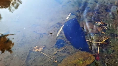 Footage of river water flow. suitable for content, adventure films, etc Stock-Footage 283516515