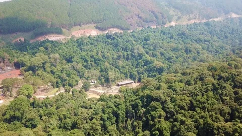 Footage of the road in the forest Stock Footage 94584798