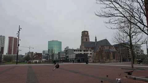 Footage for Rotterdam Video stock 123843317