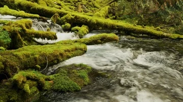Footage - Running River of a Remote Waterfall Stock Footage 85865585