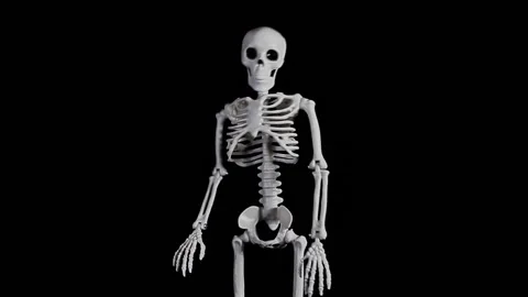 Footage of sceleton dark background Stock Footage 220774522