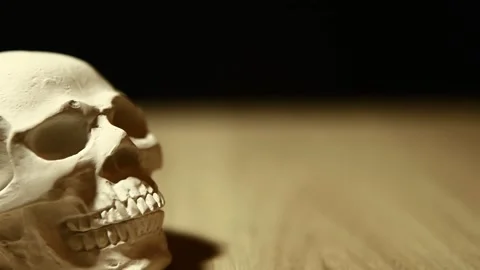 Footage of skull dark background Stock Footage 304734592