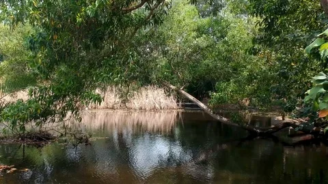 Footage slow motion capture with drone Stock Footage 89720558